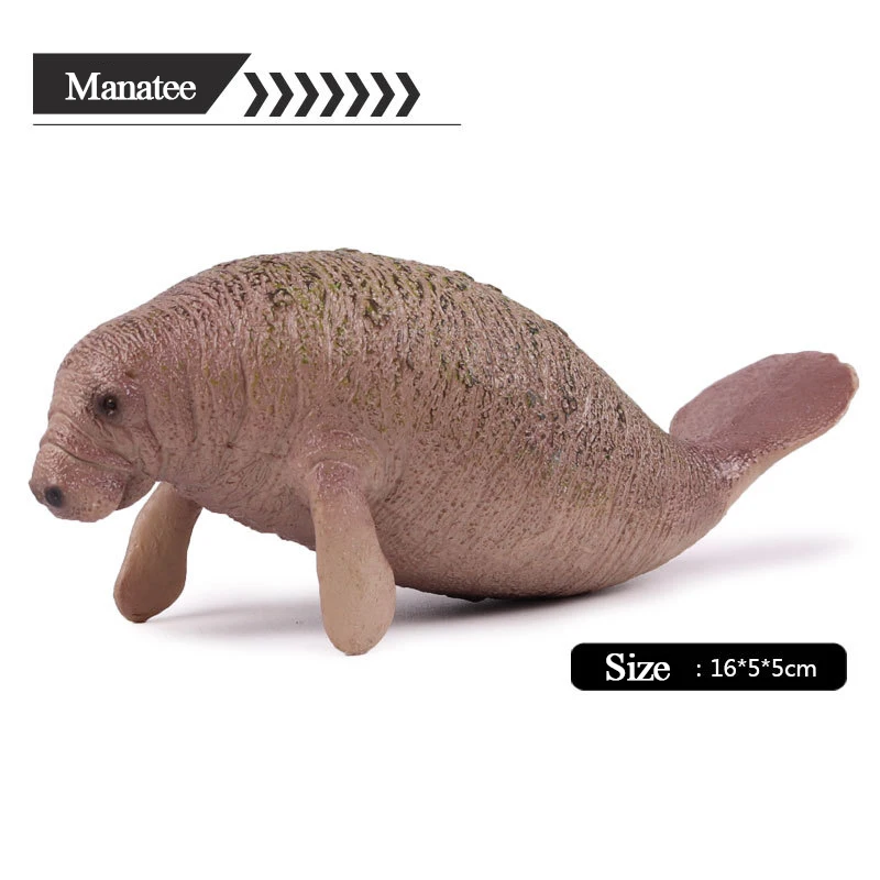 

Action&Toys Figure Ocean Marine World Biological Animal Cute Manatee PVC Toy Collection Model Dolls Figure For Kids Gift