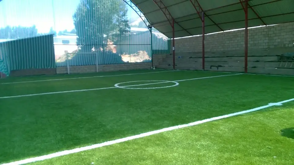 Высококачественная искусственная трава cesped для футбола 2 цвета|cesped|cesped artificial |