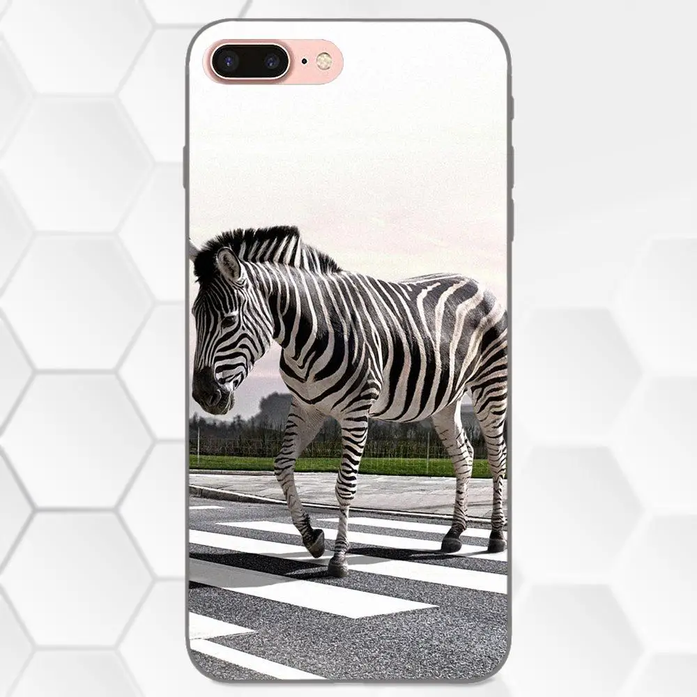 TPU Live Love Phone Zebra Horse для Galaxy C5 C7 J1 J2 J3 J330 J5 J6 J7 J730 2017 Ace Core Duo Max Mini Plus Prime Pro|Бамперы| |