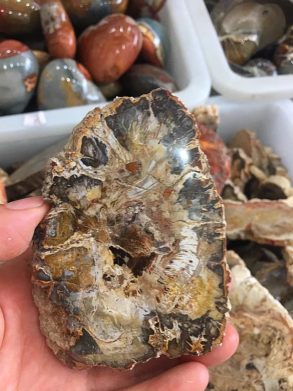 

Окаменевшая древесина, 200 г, круглая, образец из Мадагаскара