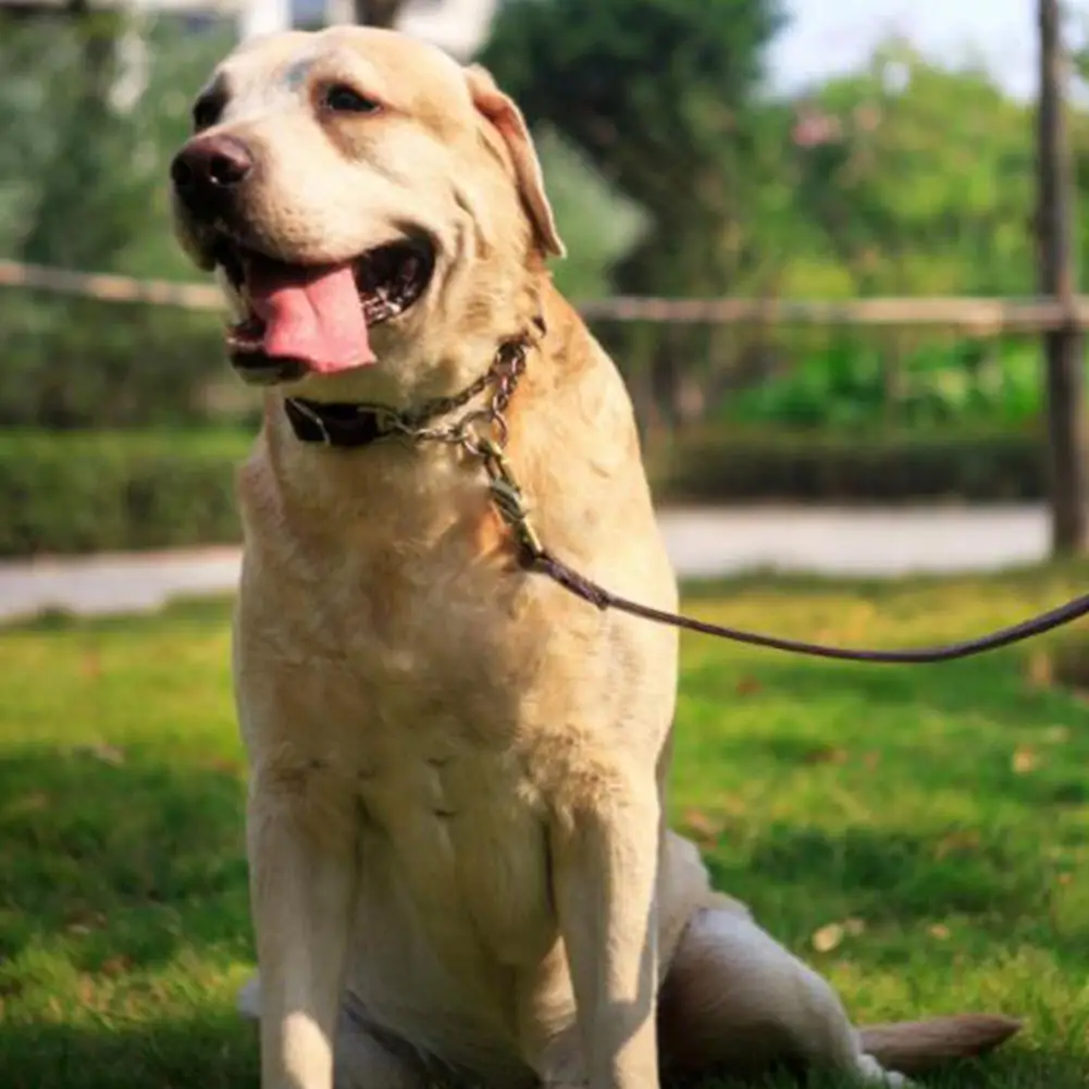 Ошейник для кошек TPFOCUS маленьких собак щенков из искусственной кожи ошейник