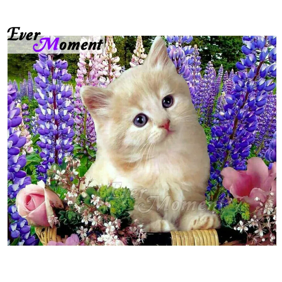 Когда-нибудь момент алмазов картина ручной работы Cat цвета лавандового вина