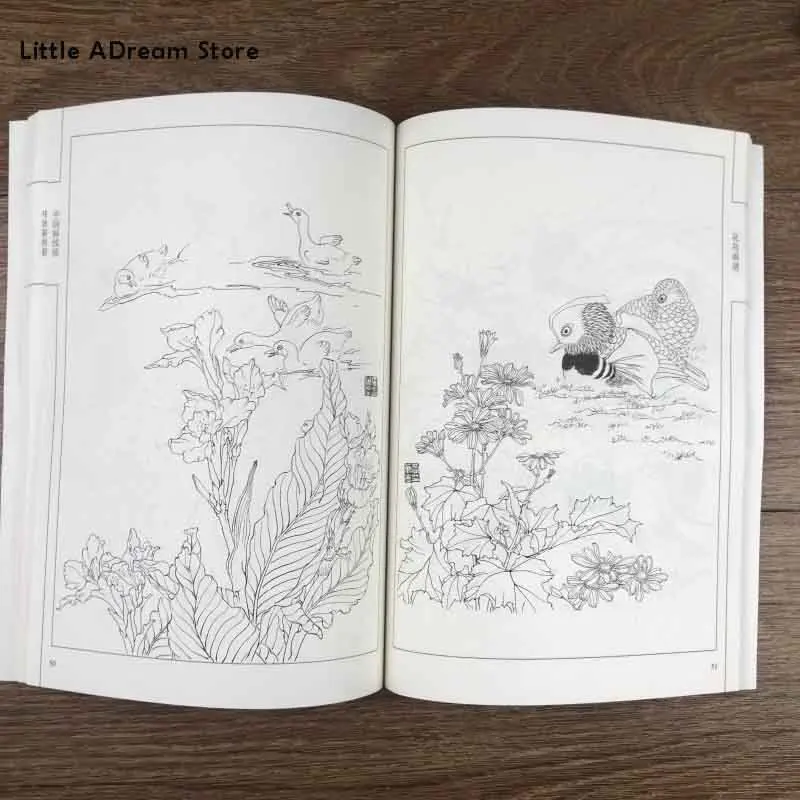 Chinese Line Drawing Flower and Bird Painting Spectrum Book / Traditional Gong Bi Bai Miao Art Textbook |