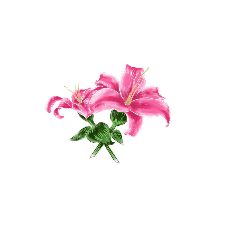 ZTTZDY 21 5*17 3 см красная лилия цветок мультфильм настенные художественные Декорации