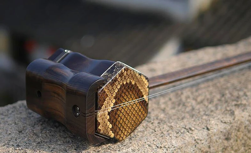 Erhu Китайский инструмент профессиональный Huqin Strik Muziek macassar ebony Erhu instrumento аксессуары струнный лук erhu книжный тюнер