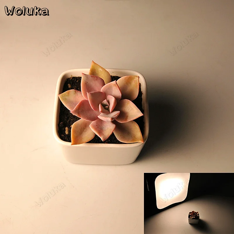 Softbox for YN600 Photographic LED Lighting lamp Portable folding storage Shading Diffuser soft light sleeve CD50 T11 |