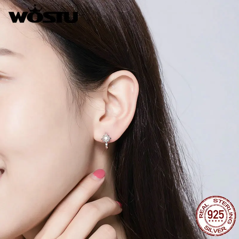 WOSTU, Классические круглые серьги-кольца в виде цветка, 925 пробы, серебро, стиль барокко, Кристальные серьги для женщин, модное ювелирное изделие FNE082