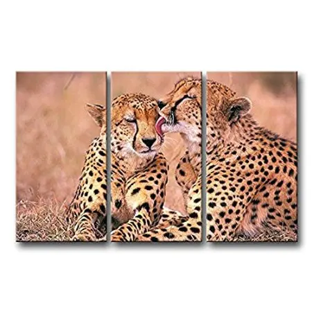 3 pieces framed Wall Art Picture Gift Home Decoration Canvas Print painting Animal series - leopard wholesale/ | Дом и сад
