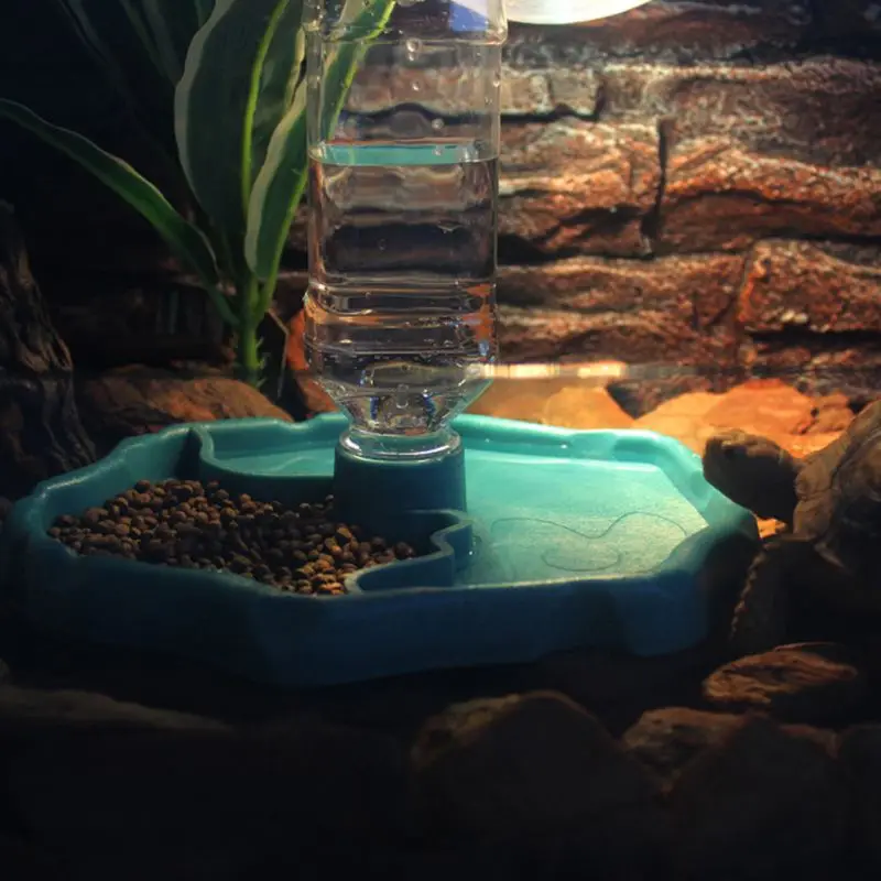 

Кормушка для рептилий 2 в 1, автоматическая тарелка для кормления воды, ящерицы, черепахи, светящийся диспенсер
