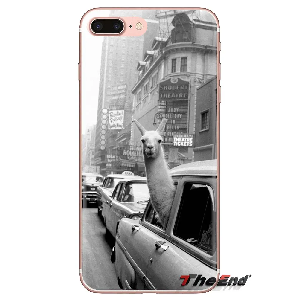 Для iPod Touch Apple iPhone 4 4S 5 5S SE 5C 6 6S 7 8 X XR XS Plus MAX силиконовый чехол для телефона милый