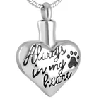 IJD8346 никогда не выцветает 316L нержавеющая сталь ПЭТ памятный кулон для праха ювелирные изделия собакакошка лапа печать всегда в моем сердце кулон кремационной урны