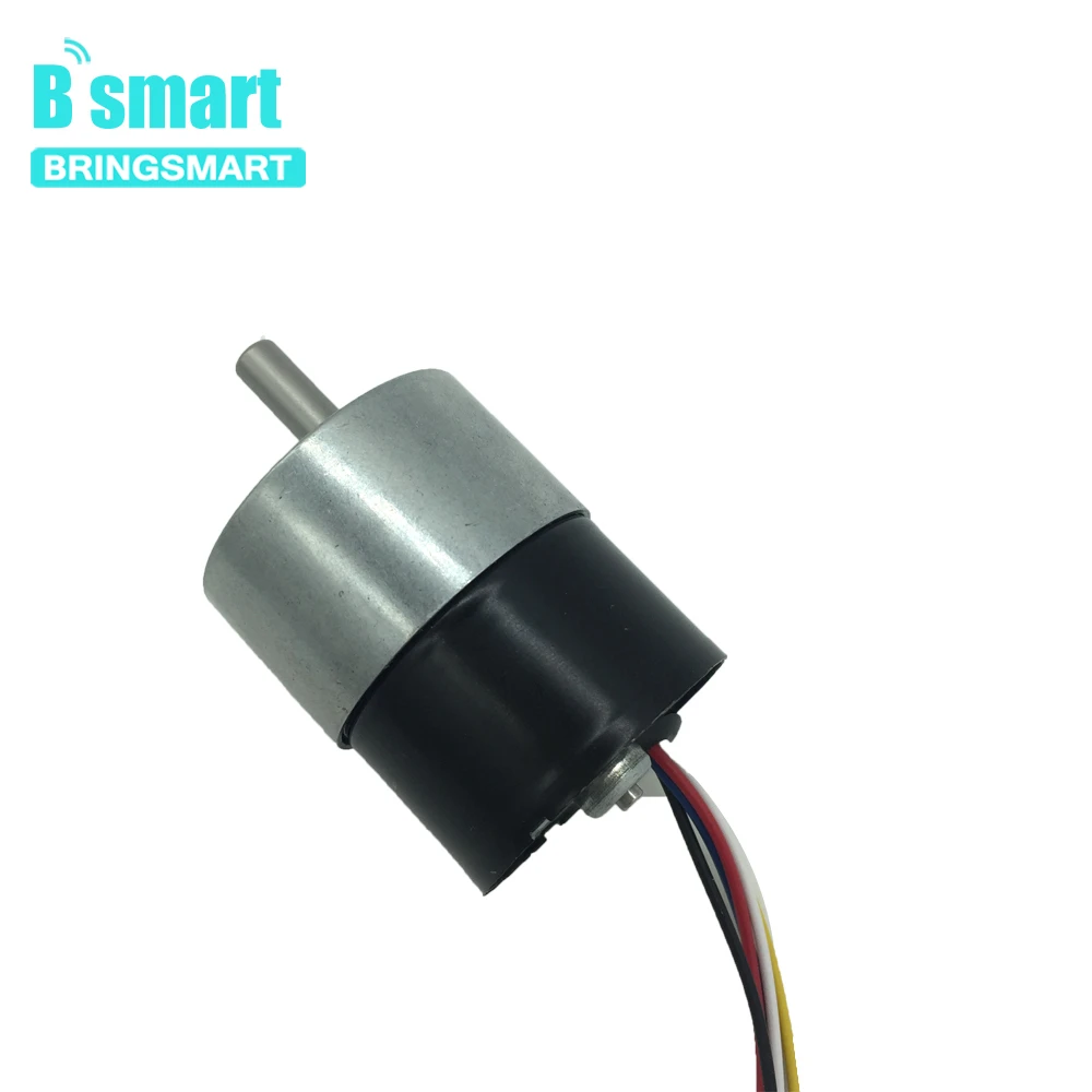 Bringsmart бесщеточный двигатель постоянного тока 24 вольт мотор редуктор обратный FG