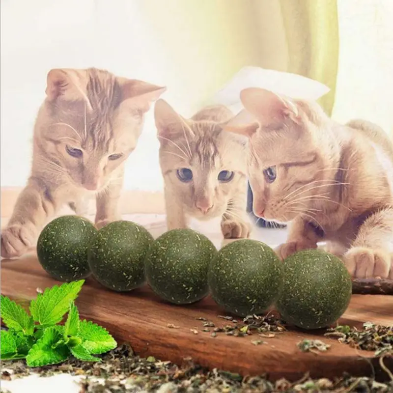 

Cat Toy Natural Catnip Treat Ball Favor Home Chasing Pet Toys Healthy Safe 100% Edible Treating Cats Playing Cleaning Teeth Toy