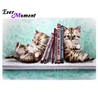 Когда-нибудь момент алмазов картина Кот книга картин полный квадратная дрель картина Стразы Алмазная вышивка крестиком Декор S2F2166