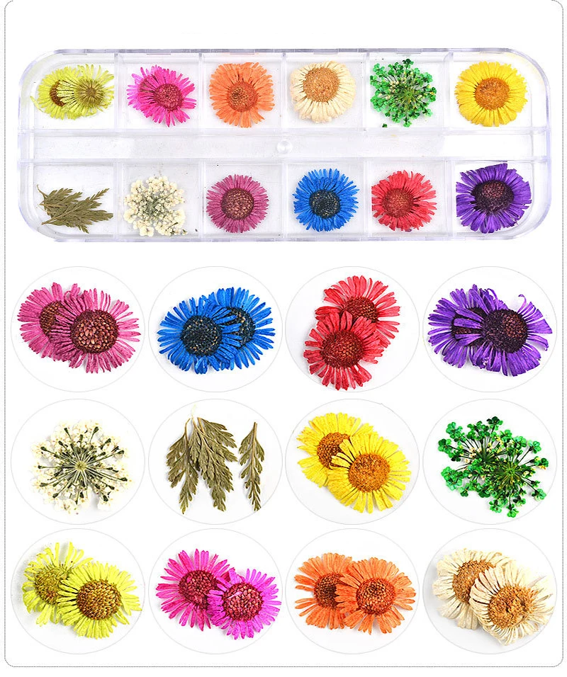 12 шт./кор. сушеные цветы Дизайн ногтей украшения 3D сухие натуральные Цветочные наклейки УФ-гель для маникюра красочные наклейки для ногтей