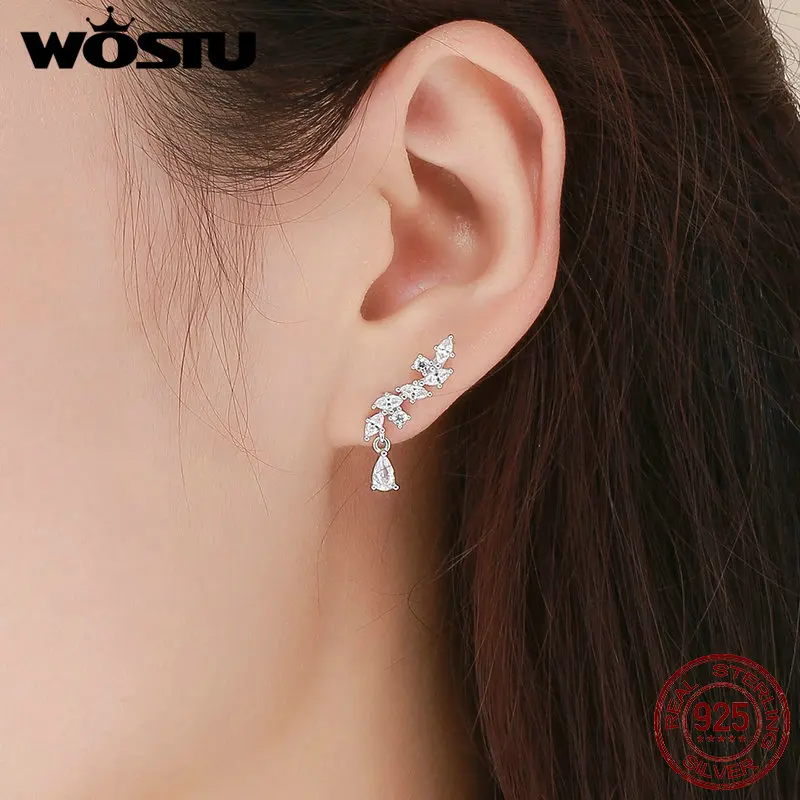 WOSTU Высокое качество 925 пробы серебряные ослепительные прозрачные CZ серьги-гвоздики для женщин оригинальные модные ювелирные изделия подарок CQE385