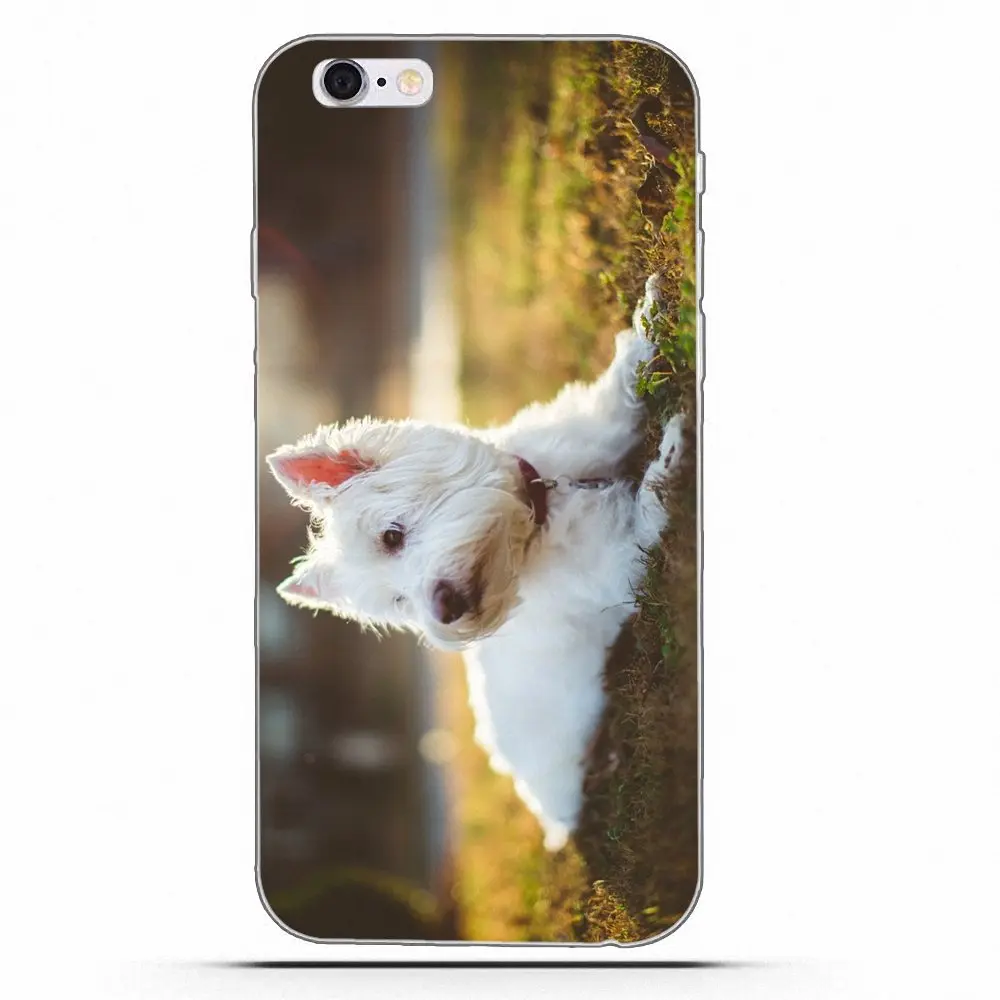 Мягкие ТПУ чехлы для телефонов Wexoeq West Highland Terrier Dog щенок LG G2 G3 mini spirit G4 G5 G6 K4 K7 K8 K10 2017