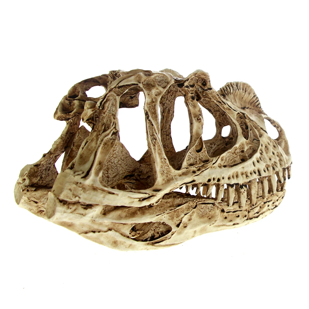 Высокая точность Ceratosaurus модель черепа Рекс Динозавр Смола окаменелый череп
