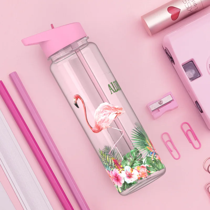 Eco friendly 750ml/25oz 100% Тритан Спортивная мой соломы бутылка для воды с принт Фламинго