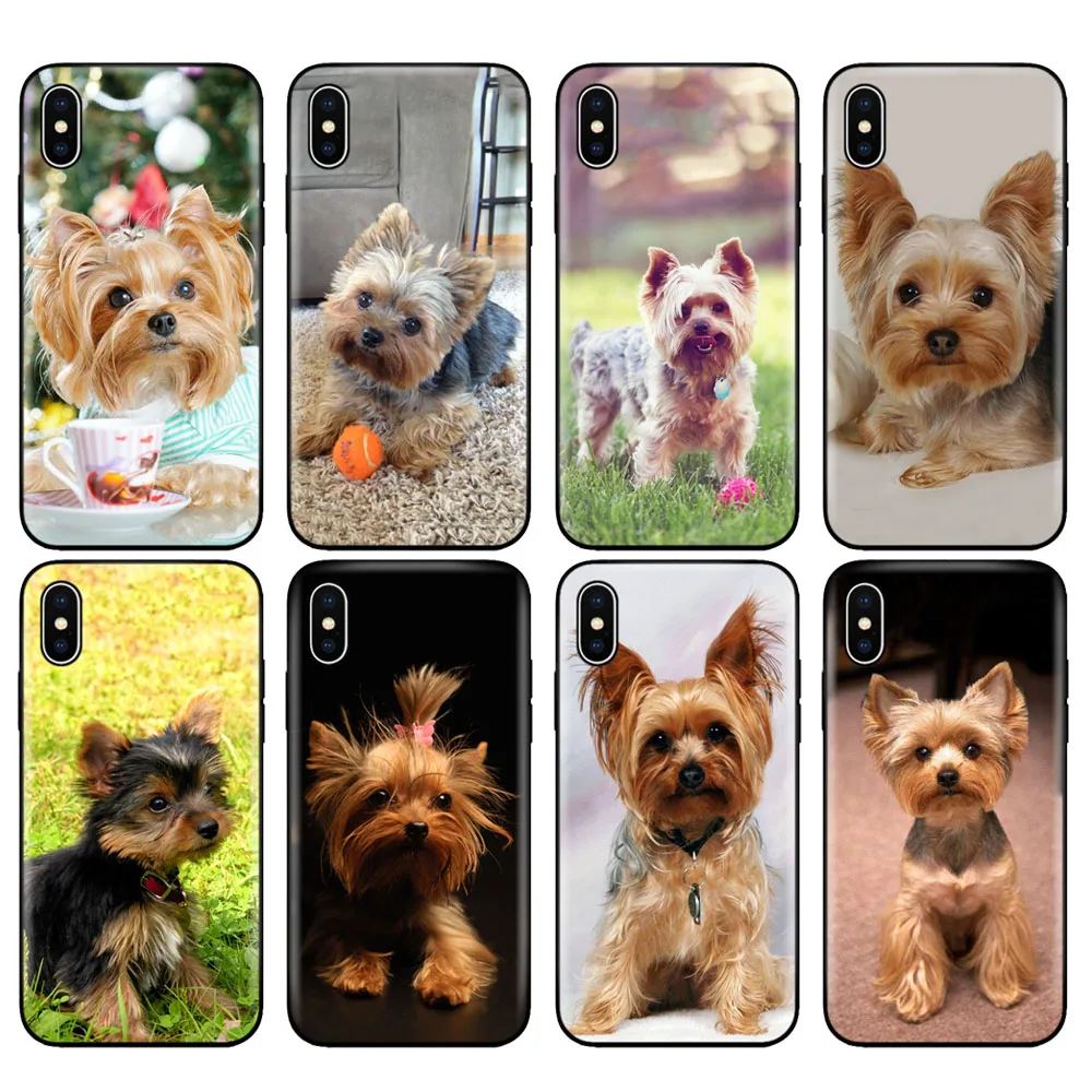black tpu case for iphone 5 5s se 2020 6 6s 7 8 plus x 10 case cover for iphone xr xs 11 pro max yorkshire terrier dog puppy free global shipping
