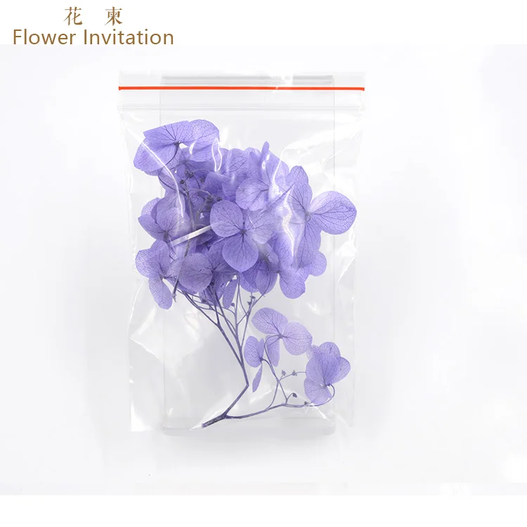 light purple 5 piece Цветочные приглашения маленькие листья высокого качества Гортензия_ DIY ручные образцы растений сушеные цветы - Цвет: light purple 5 piece
