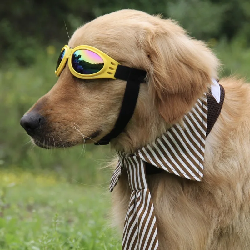 High Fashion Dog Eyes Protection Sunglasses Multi-color Cool Pet Grooming UV Glasses Suit For Dogs Weight Over 6 Kgs | Дом и сад