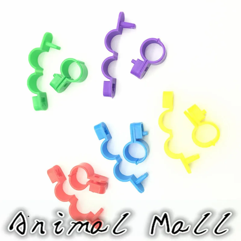 50 шт. 5 цветов кольцо окры с формулой открытия для ног птицы перепелок попугая