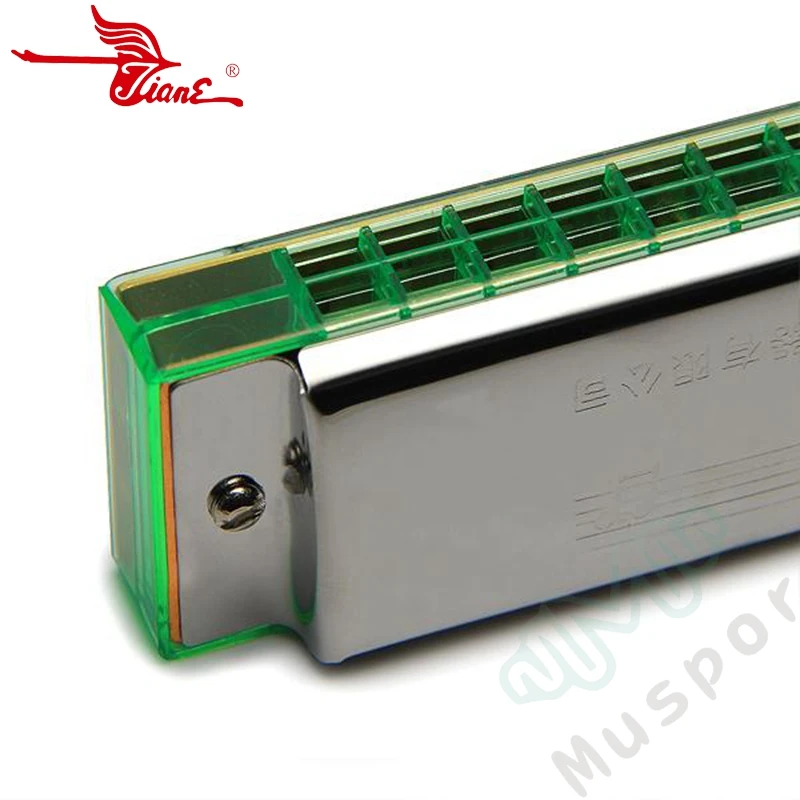 Лебедь 24 Отверстия двойной тремоло настроенная Губная гармошка Ключ C дети