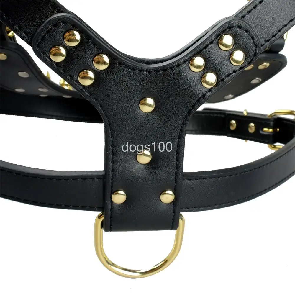 Pitbull Boxer золотые шипы кожа искусственная для крупных собак|harness wire|harness leashpet seat belt