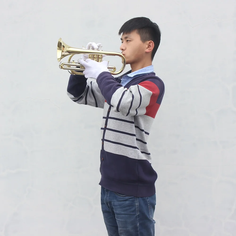 Профессиональный Bb плоский Корнеты духовых инструментов с сумкой чехол перчатки