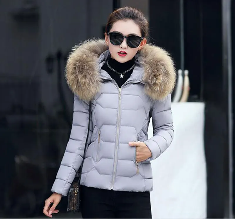 gray style 2 FIONTO 1 предмет зимние женские куртки пальто для будущих мам, толстые большой меховой воротник с капюшоном короткие парки женские зимние куртки пальто A003 - Цвет: gray style 2