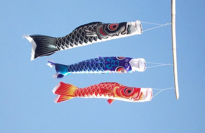 (Принимаются по индивидуальному заказу) Корейский/японский/китайский кухонный