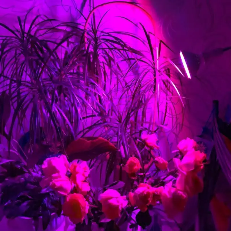 LumiParty E27 светодиодная лампа для выращивания растений красный и синий светодиоды