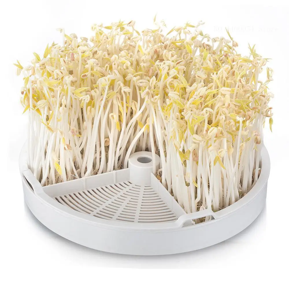 2000 Вт многоварочная электрическая индукционная плита Встроенная циркулярная