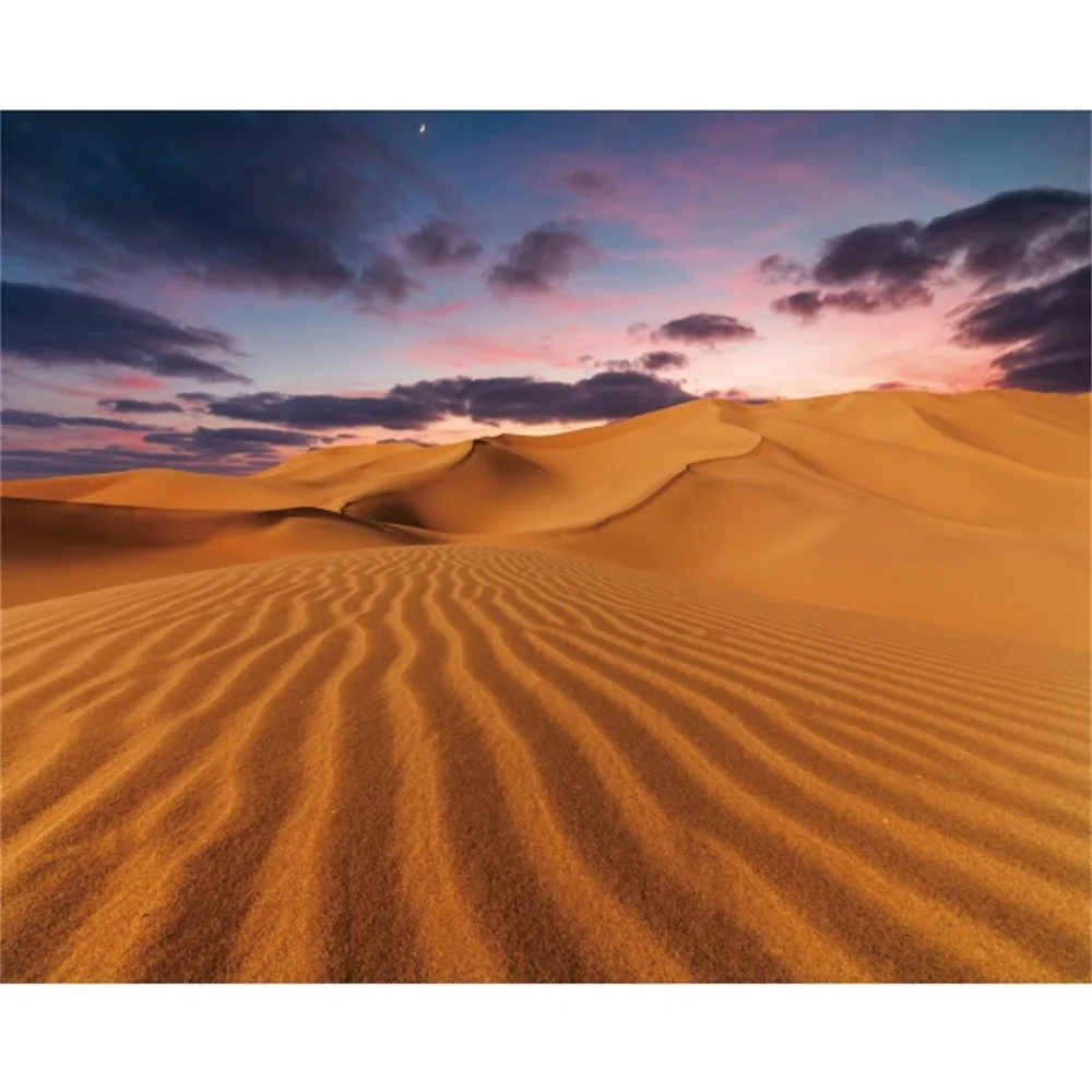 

Desert Poster Landscape Canvas Painting Modern Home Decoration Posters And Prints Wall Art Picture For Living Room Kitchen Decor