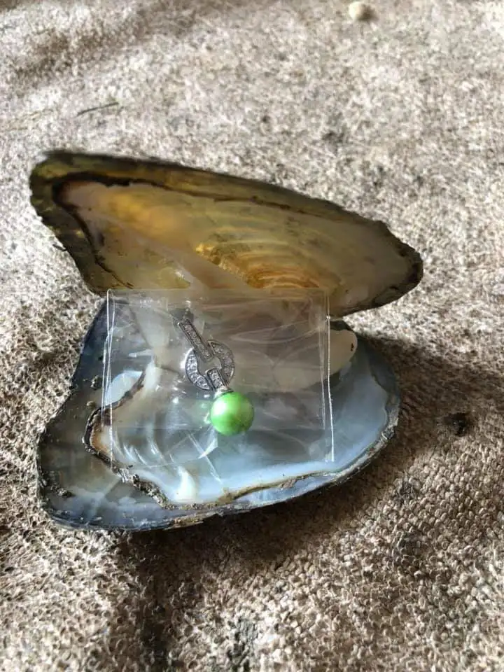 Кольцо/серьги/кулон из серебра 925 пробы в пресноводной Ракушке|Бусины| |