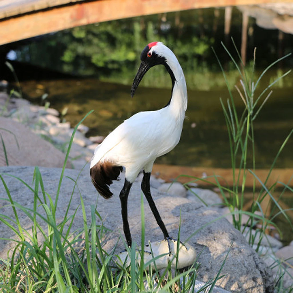 9 Red-crowned Crane Живой искусственный Magpie, дятел, Shrike, Throstle, Павлин птица реалистичные Taxidermy украшения для дома и сада - Цвет: 9 Red-crowned Crane