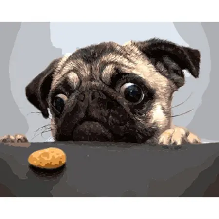 Cioioil-W340 Pug декоративная картина маслом по номерам Раскраска для взрослых | Дом и
