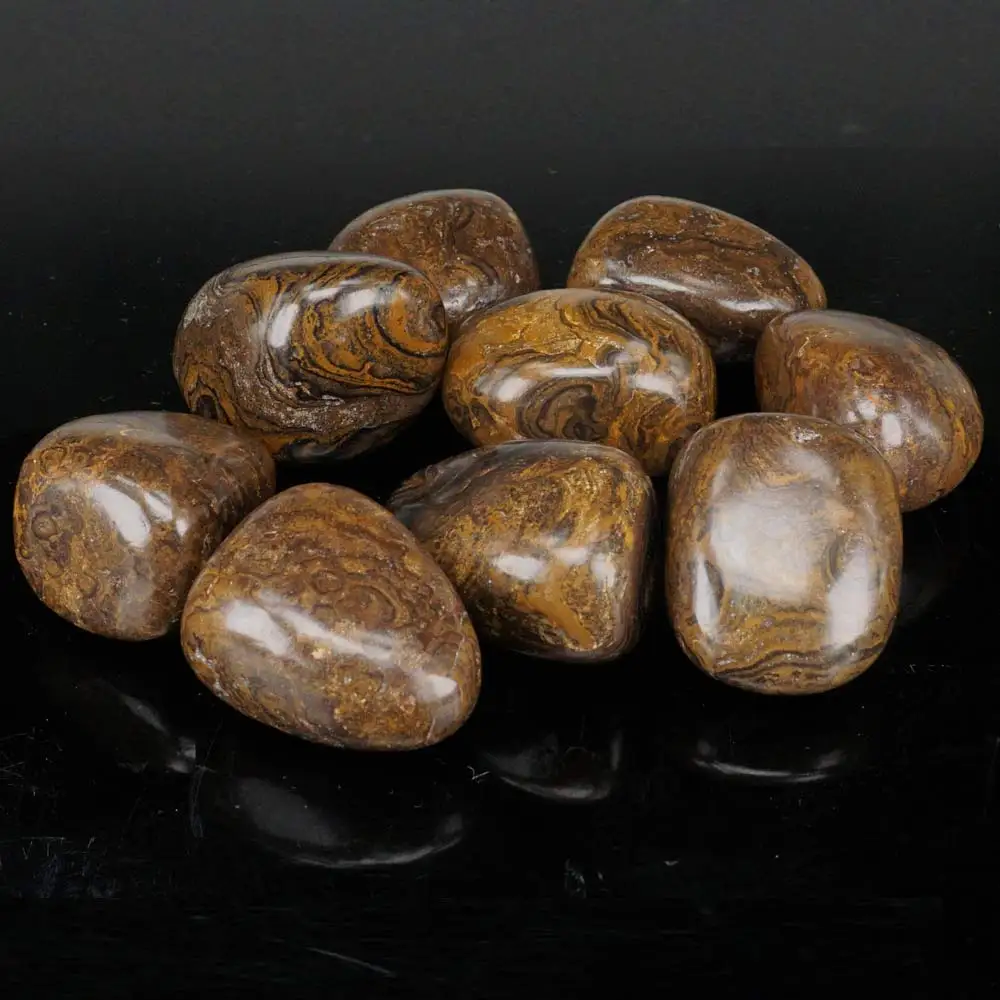 Крупными партиями ископаемого камня Stromatolite натуральная полированная