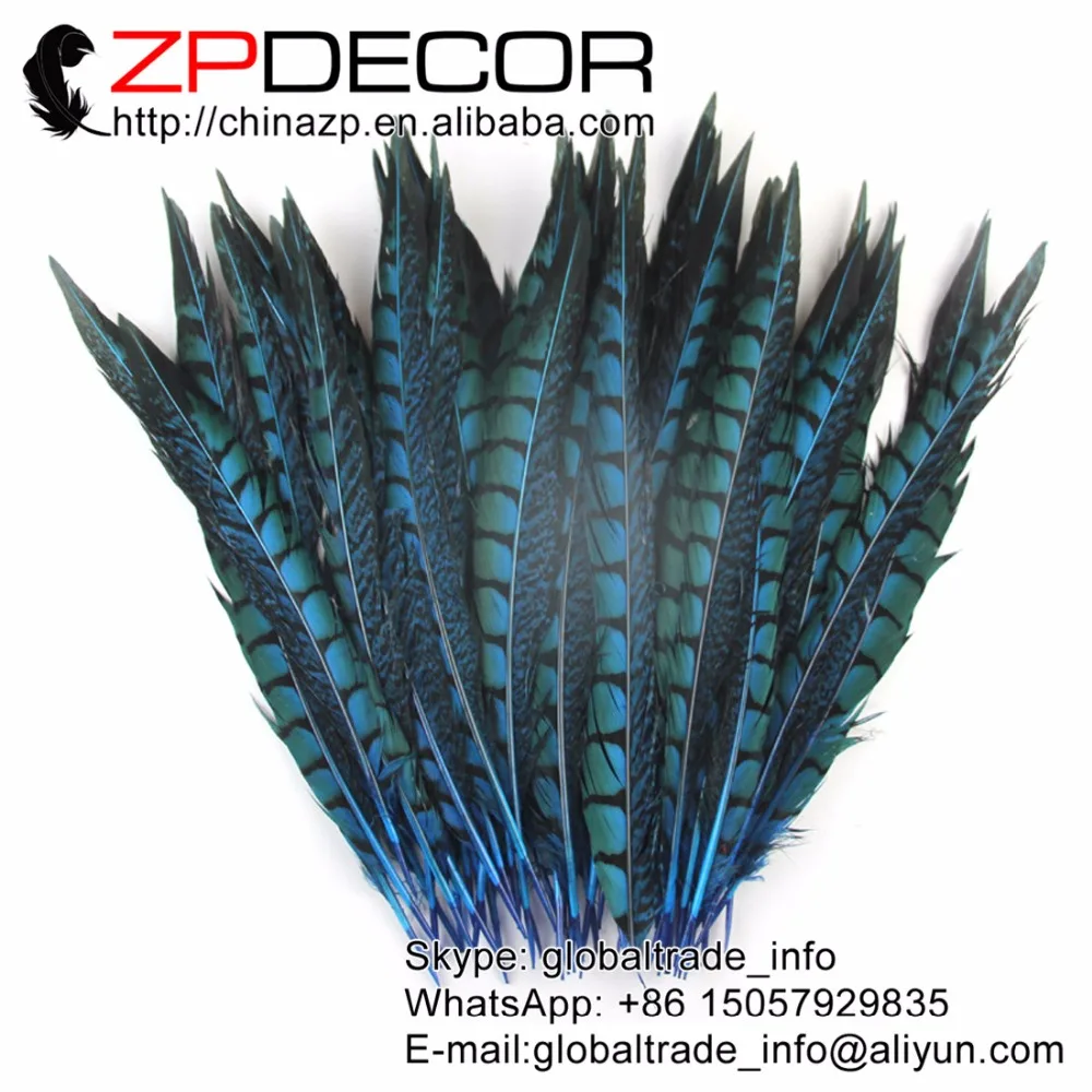 

Leading Supplier ZPDECOR 30-35cm(12-14inch) 50pieces/lot Sexy Good Quality Dyed Lady Amherst Tail Feathers for Wedding Decor