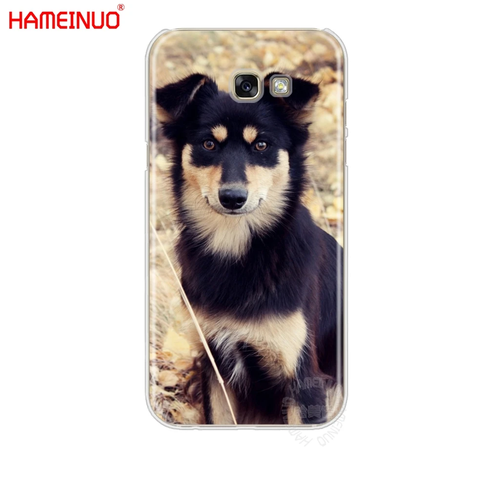 HAMEINUO border collie dog чехол для сотового телефона Samsung Galaxy A3 A310 A5 A510 A7 A8 A9 2016 2017|Бамперы| |