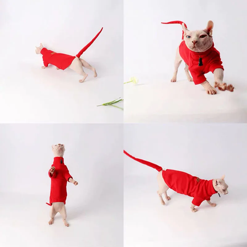 Одежда для животных Hairless Cat Сфинкс Кошка Осень Зима Леггинсы женщин стрейч