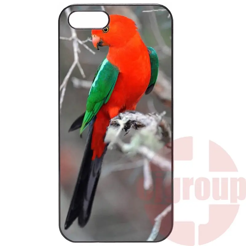 For Huawei P7 P8 P9 mini Honor 3C 4C 5C 6 Mate 7 8 9 Plus Lite 5X 6X Nexus 6P Patterns beautiful parrots animal |