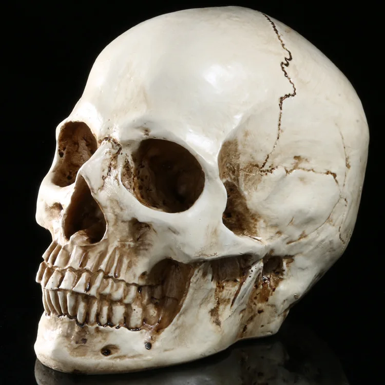 

Halloween toys simulation 1:1 human skull terrorist resin skulls ghost cranium Skull Heads Crossbones Skulls