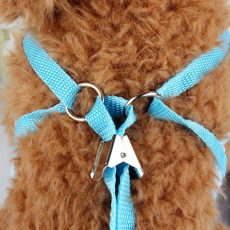 Поводок для собак жилет джентльменов ошейник кошек одежда йорков | Дом и сад