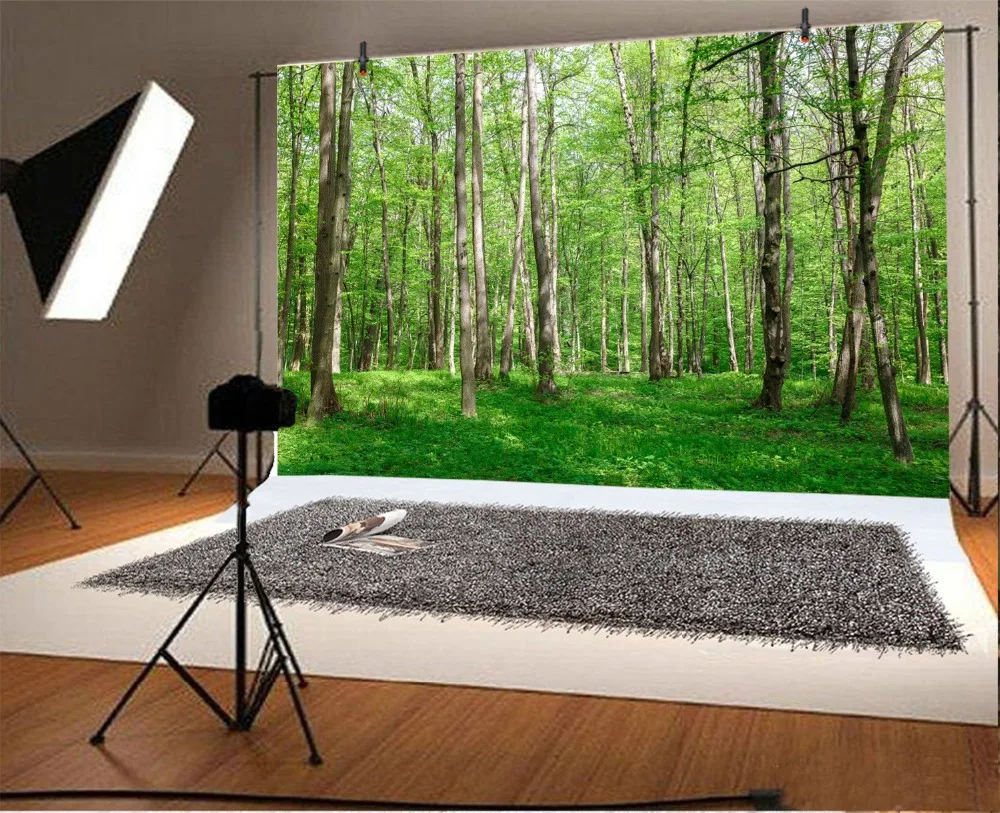 Laeacco Tree Forest Grass Sunshine Autumn Child Natural Scenic Photo Backdrops Photographic Backgrounds Photocall Studio | Электроника