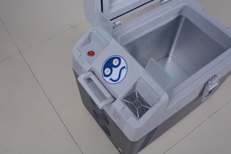 Бесплатная доставка в Россию 20 л автомобильный холодильник портативный домашний