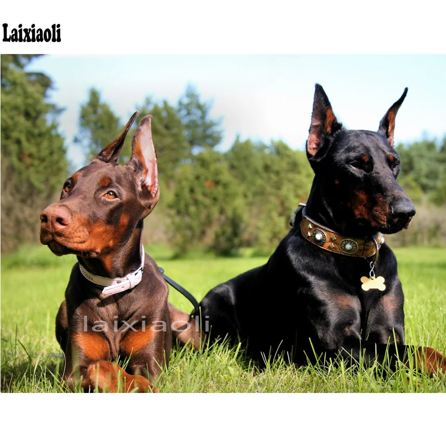 

diamond painting Doberman dog Full Square/Round Drill 5d diy Diamond Embroidery Cross Stitch diamond mosaic pet Home Decor Gift
