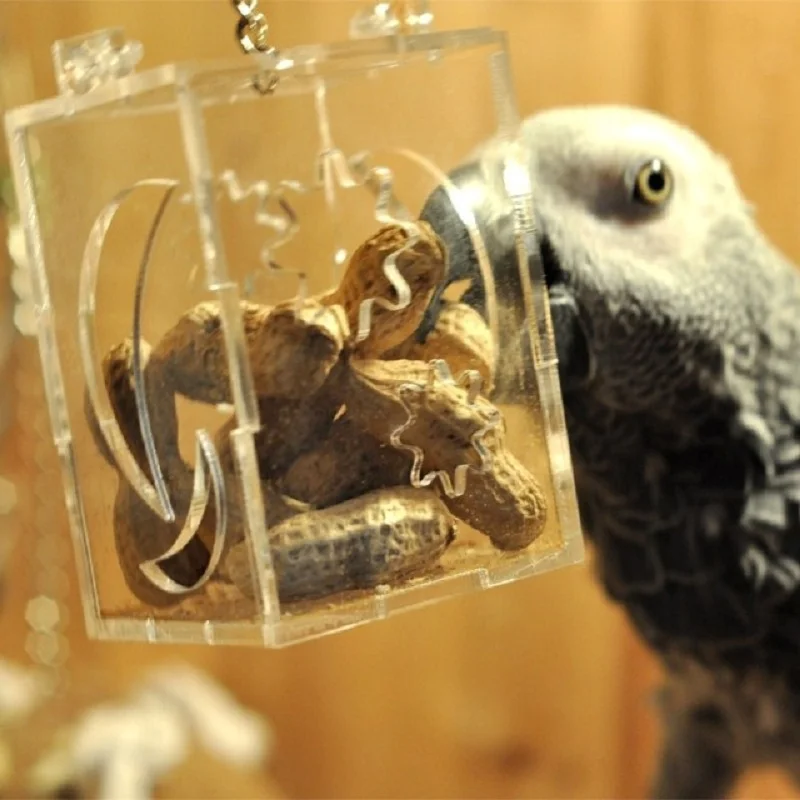 Попугай птица игрушки подвесная кормушка удовольствие для домашнего животного