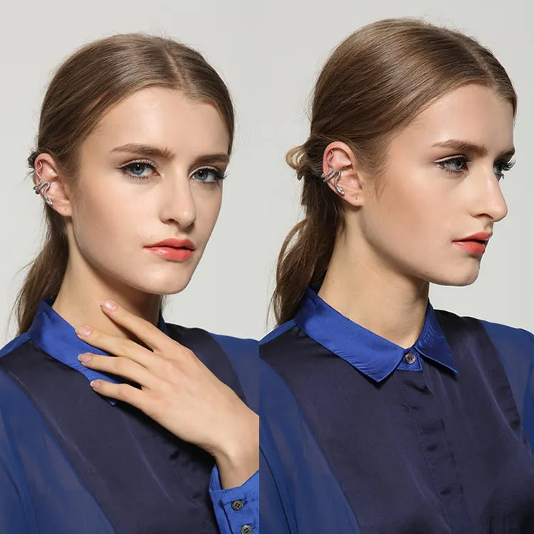 

Explosion Models S925 Silver Retro Snake Earrings Unisex Special Earrings Unique Jewelry New Earrings Ear Clip